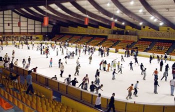 iceskate01