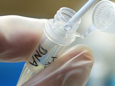 All citizens, expatriates and visitors to submit DNA samples