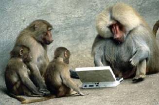 Monkeys School in Kuwait Zoo - KUWAIT UPTO DATE : KUWAIT UPTO DATE