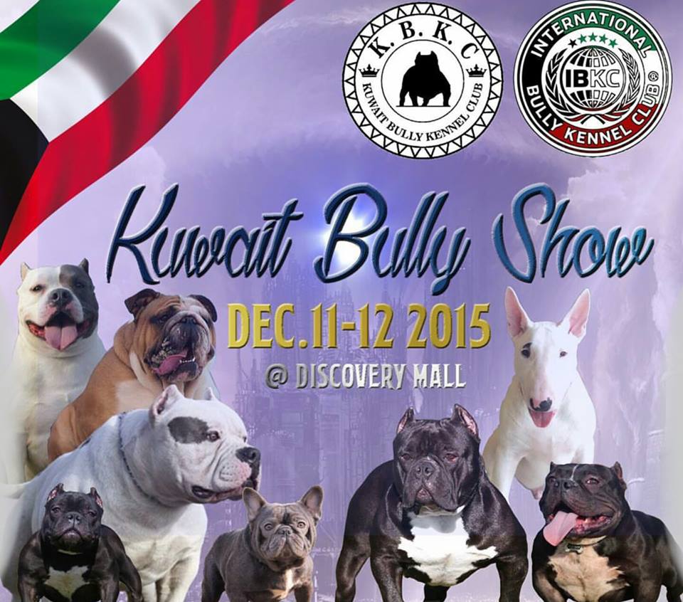 Kuwait Bully Show upto date