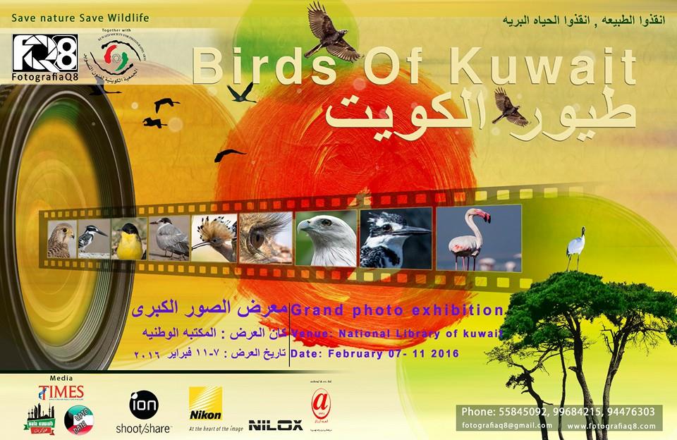 birds of kuwait exhibition photography kuwait upto date events in kuwait