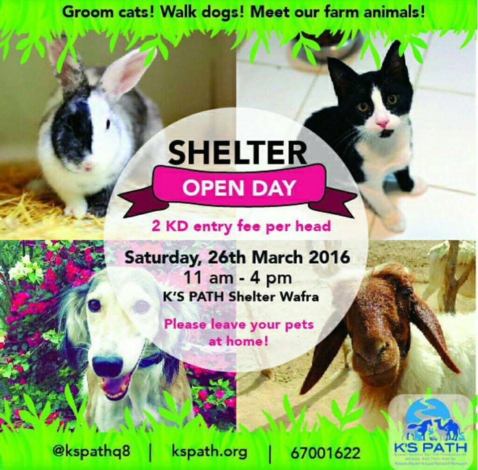 Shelter Open Day at KsPath