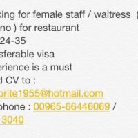 Job vacancy - waitress