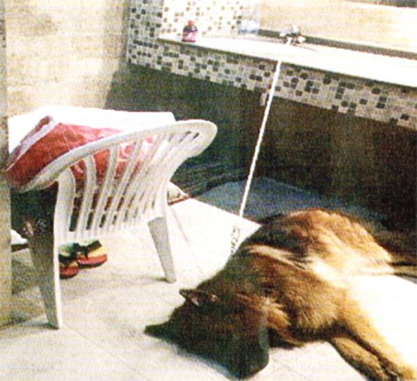 Homeless Kuwaiti sleeping in toilet with his pet dog
