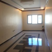 3 BR Apartment (relatively new)