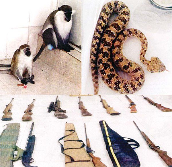 Snakes and monkeys found from the home