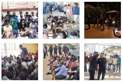 8,004 illegal residents