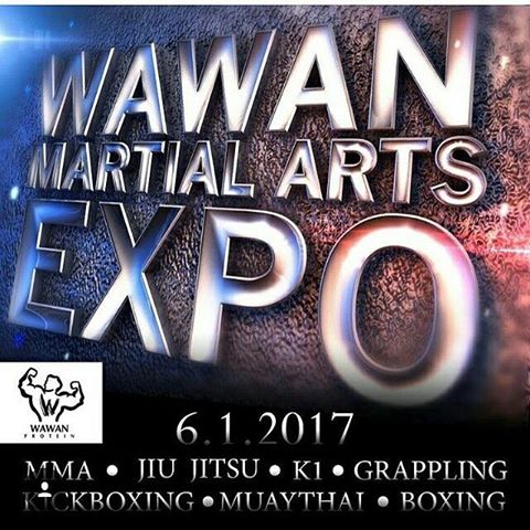 martial-arts-expo