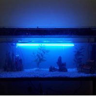 Thumbnail for the listing's main image