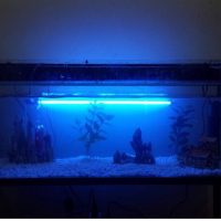 Fish tank with Stand for Sale
