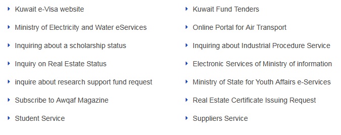 17 new electronic services launched