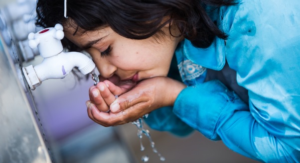 Drinking water in schools unsuitable