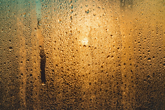 Humidity to continue until September 20th