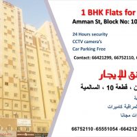 1 BHK Flats For Rent