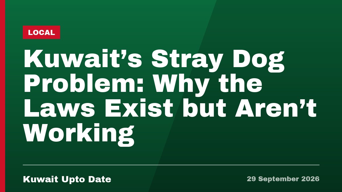 Kuwait’s Stray Dog Problem: Why the Laws Exist but Aren’t Working