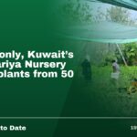50 fils only, Kuwait's Al-Omariya Nursery offers plants from 50 fils.