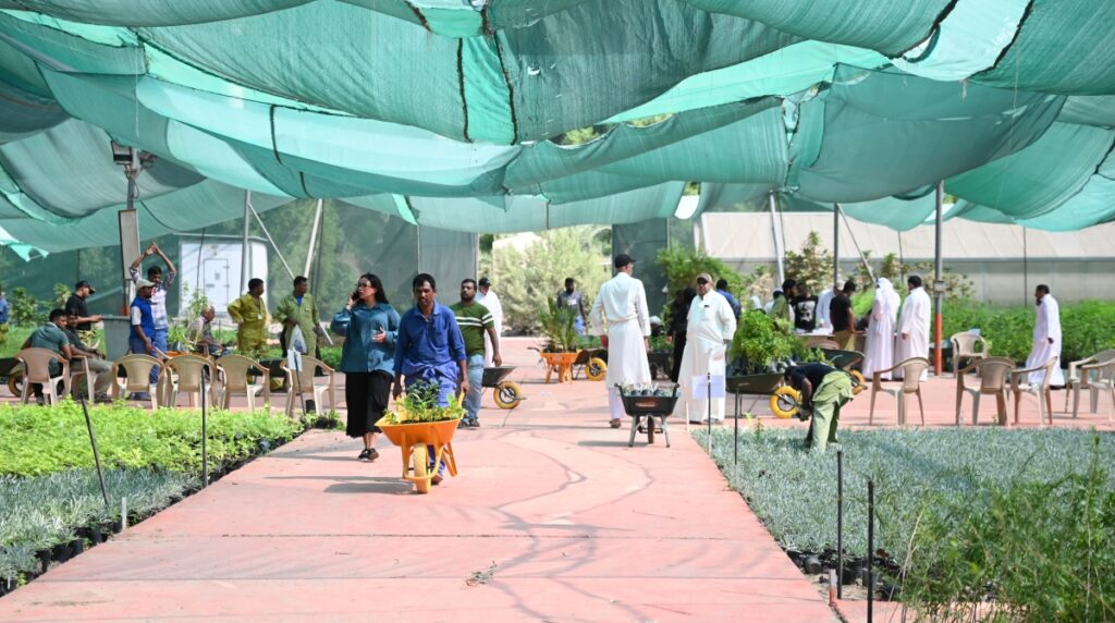50 fils only, Kuwait’s Al-Omariya Nursery offers plants from 50 fils.