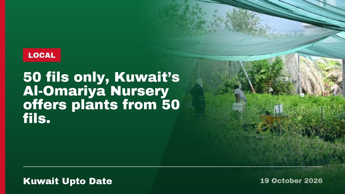 50 fils only, Kuwait's Al-Omariya Nursery offers plants from 50 fils.