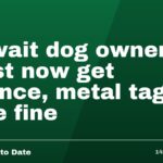 Kuwait dog owners must now get licence, metal tag or face fine