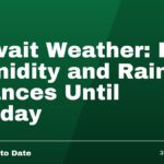Kuwait Weather: Fog, Humidity and Rain Chances Until Sunday